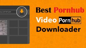 Pornhub Downloader: Herunterladen von Pornhub Videos für die uneingeschränkte Offline-Wiedergabe