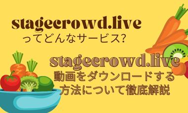 【2026年最新】Stagecrowdを真っ黒にならず録画・ダウンロード保存する方法