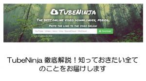 【2026年最新】TubeNinja 徹底解説！使い方・レビュー・ダウンロードできない時の代替品など