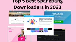 Top 5 des meilleurs téléchargeurs Spankbang en 2025