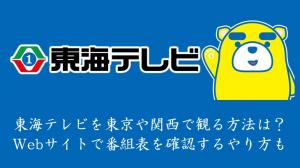 東海テレビを東京や関西で観る方法は？Webサイトで番組表を確認するやり方も