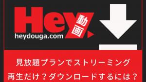 HEYZOとHey動画の違い｜公式保存・V-RACK・MP4の注意点