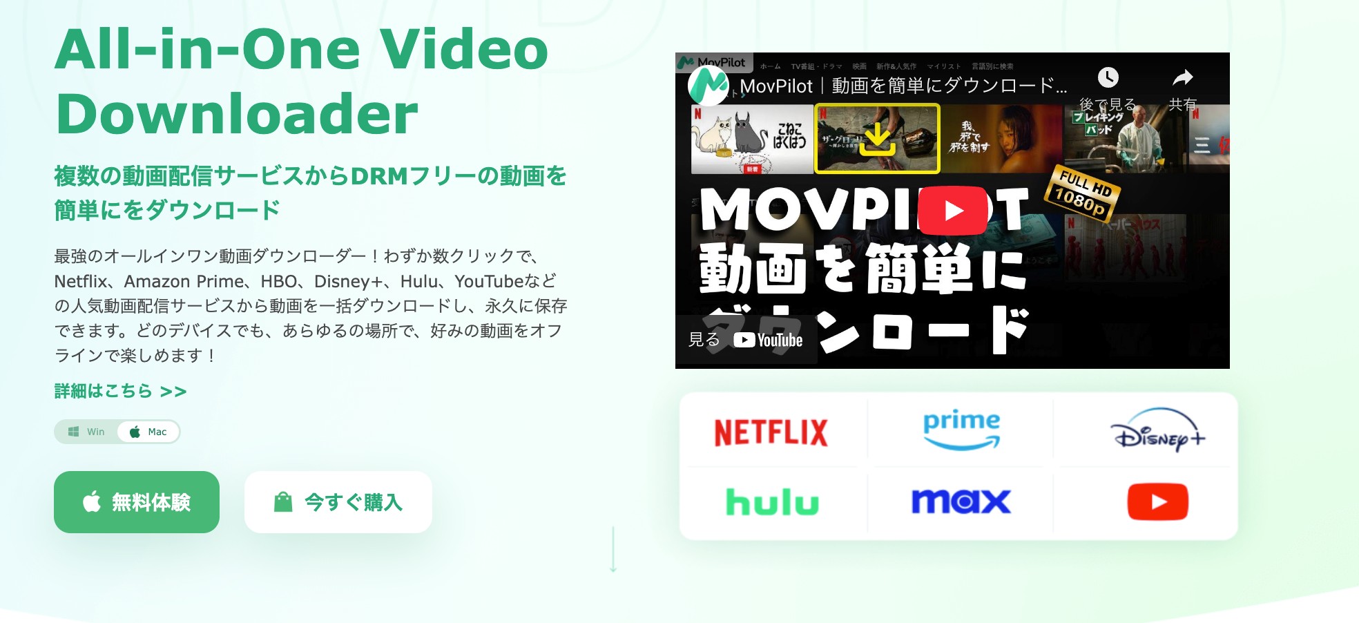 MovPilotでDisney+動画のMP4と字幕を設定する画面