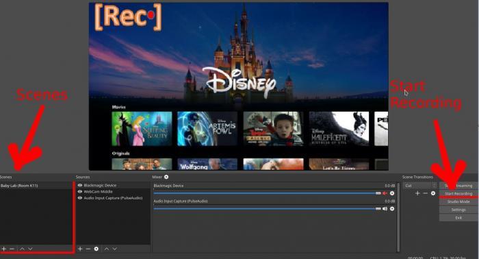 Wie kann man Disney Plus unter Windows aufnehmen?