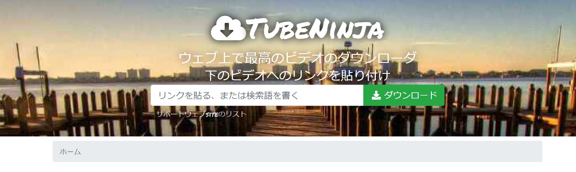 TubeNinjaの公式画面で動画URL入力欄を確認する場面