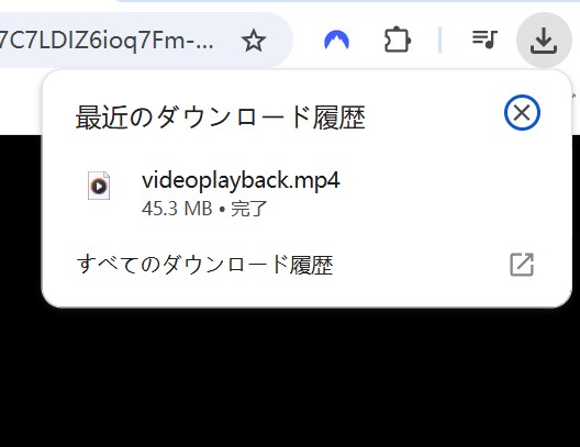 TubeNinjaの保存結果をブラウザで確認する画面例
