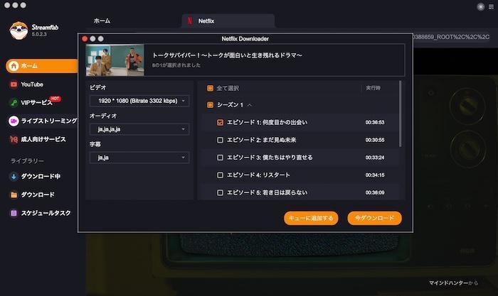 StreamFabでVOD作品の画質・音声・字幕を選ぶ画面
