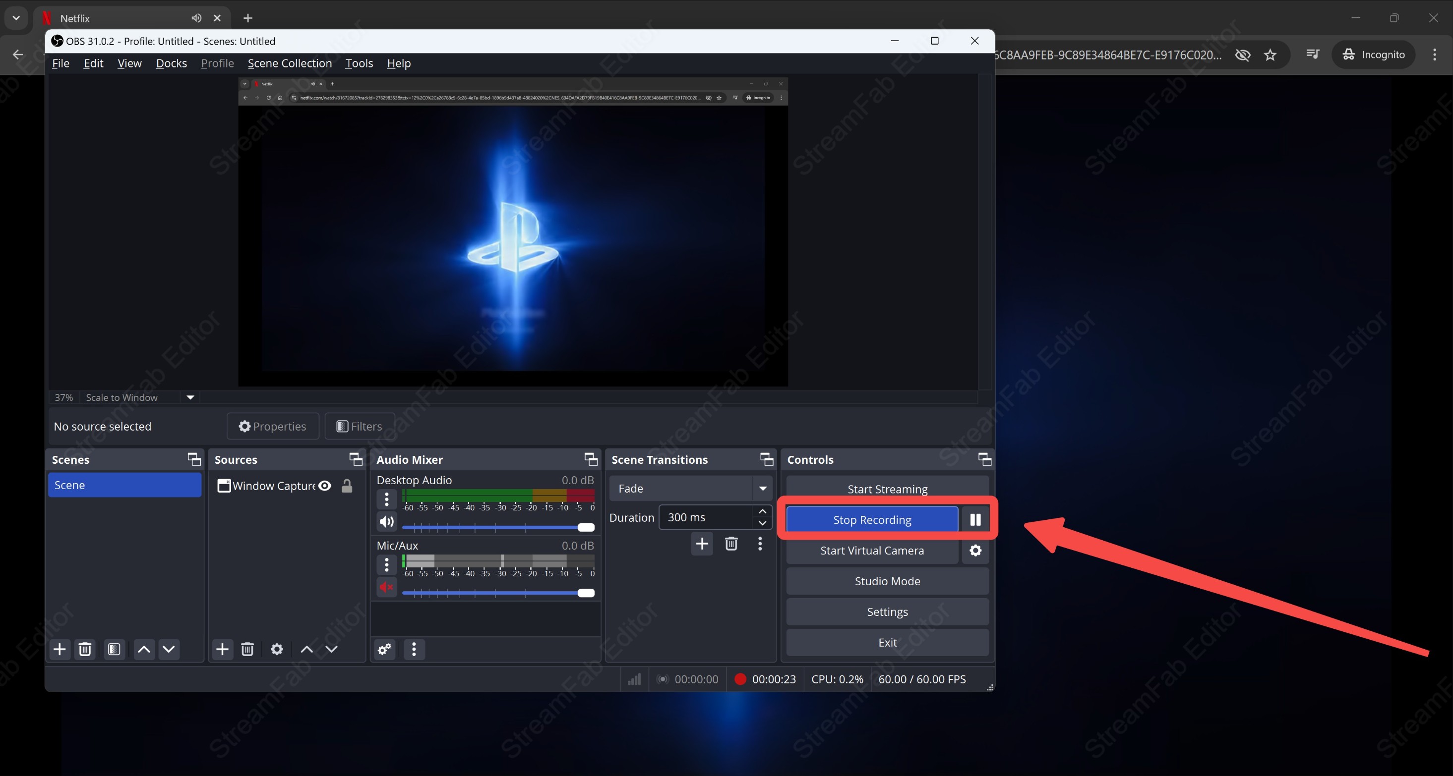 Comment enregistrer Netflix avec OBS : Étape 3