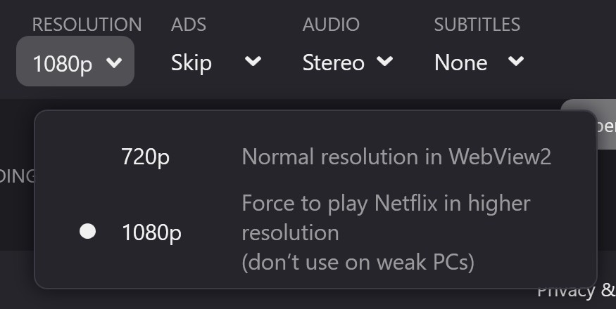 Audials One streaming service selector covering Netflix, Hulu, Disney Plus and 40+ sites