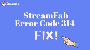 [2026 Offiziell] Wie wird der StreamFab Fehlercode 314 behoben?