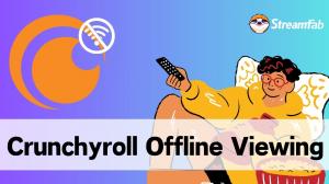 Crunchyroll Offline Viewing Guide 2025: Enjoy Anime on Any Device