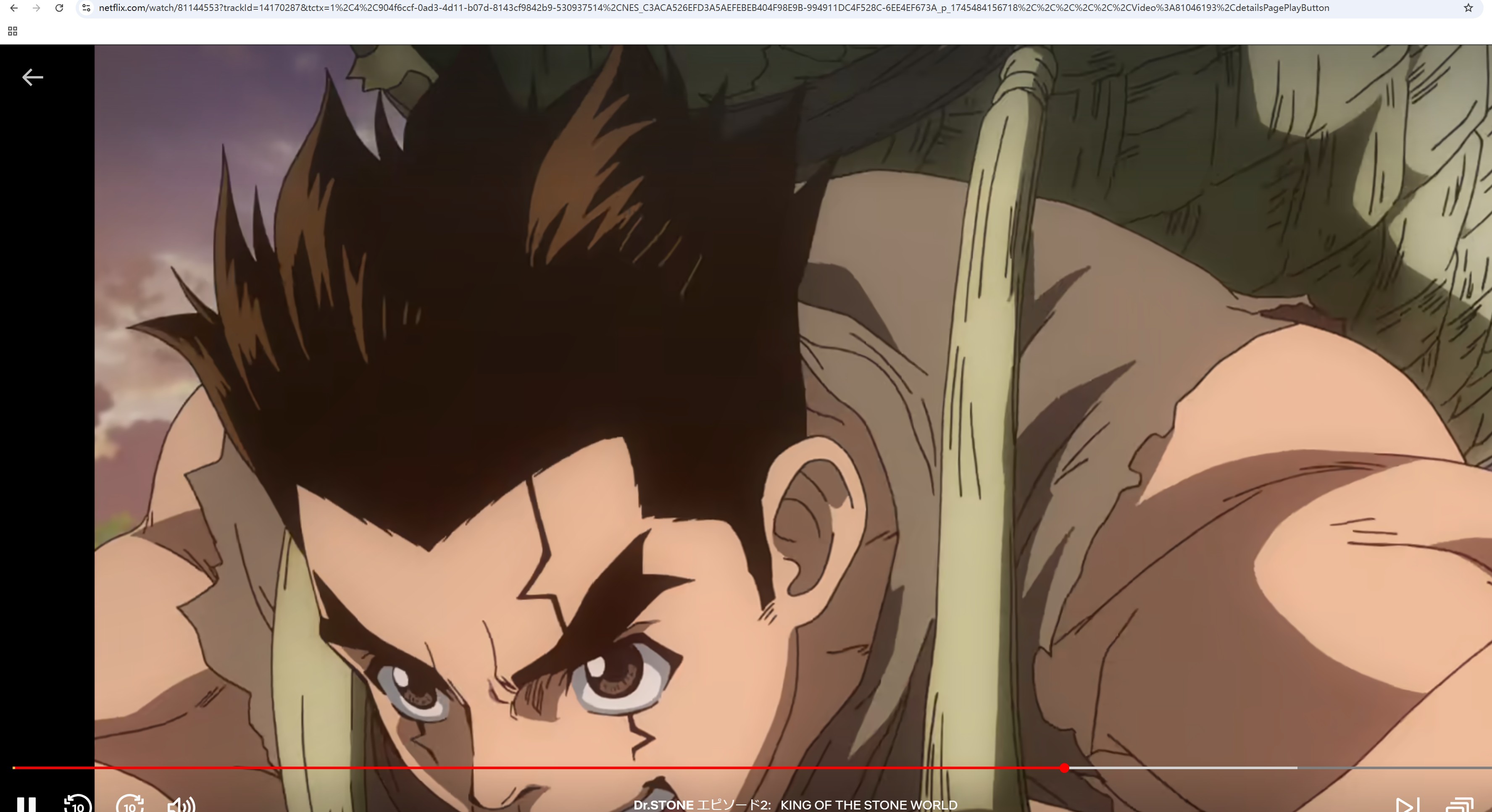 Chrome再起動後にNetflixのスクショが撮れた画面