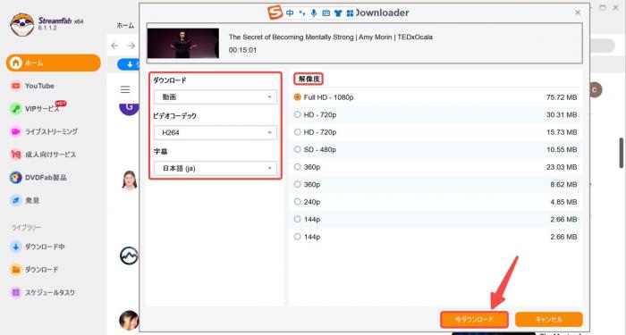 解析後に表示されるダウンロード設定ポップアップ画面(形式・字幕・解像度など)