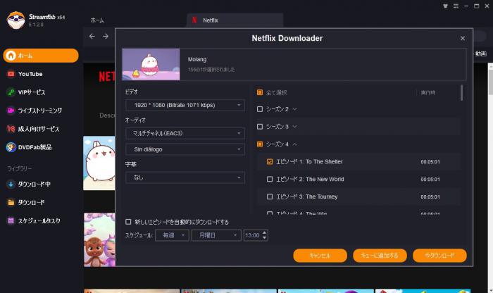 StreamFabで画質と字幕を選ぶ画面