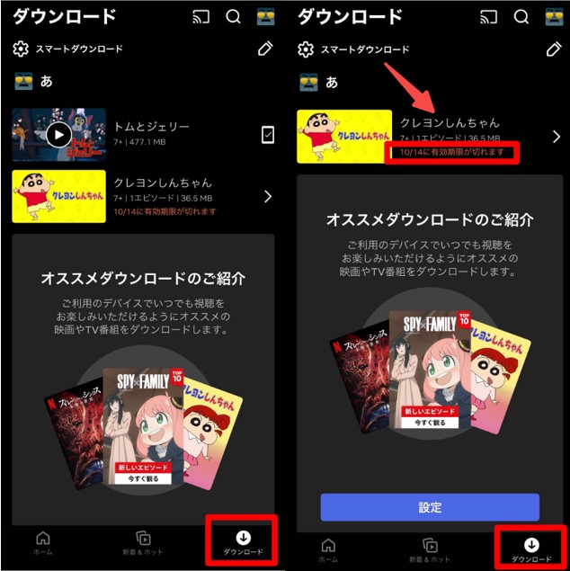Netflix App 下載內容頁查看影片到期日