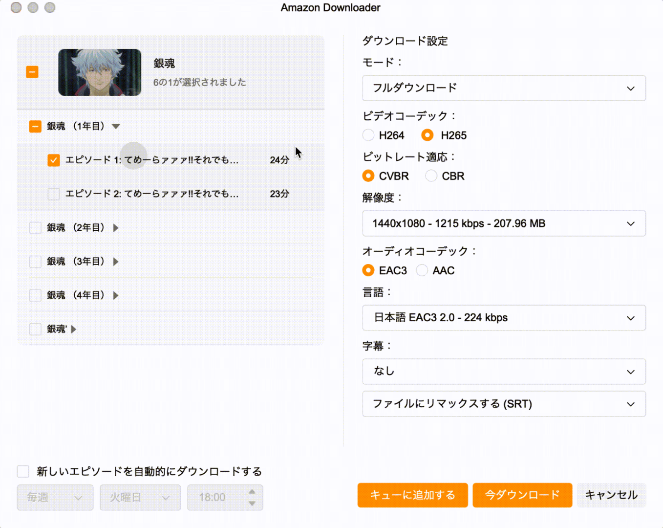 StreamFab Amazon DownloaderでH.265とEACを選択している設定画面