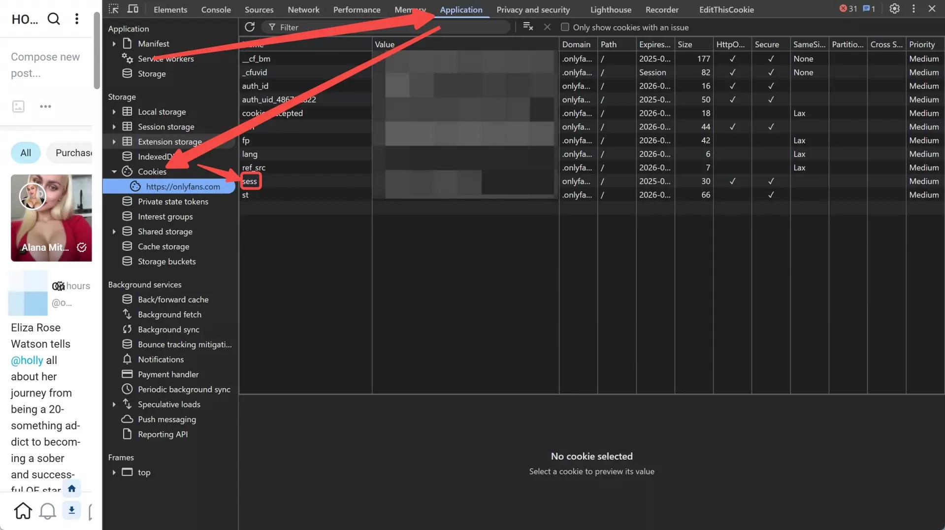 A guide to scrape OnlyFans videos with OnlyScraper: finding sess value