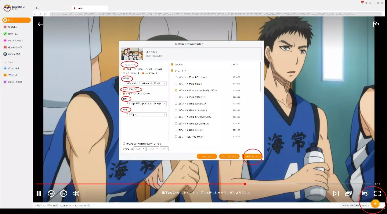 StreamFabでNetflixの画質と出力を選ぶ画面