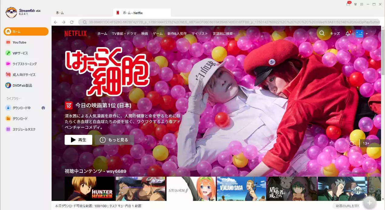 StreamFabでNetflixの字幕候補を確認する画面例