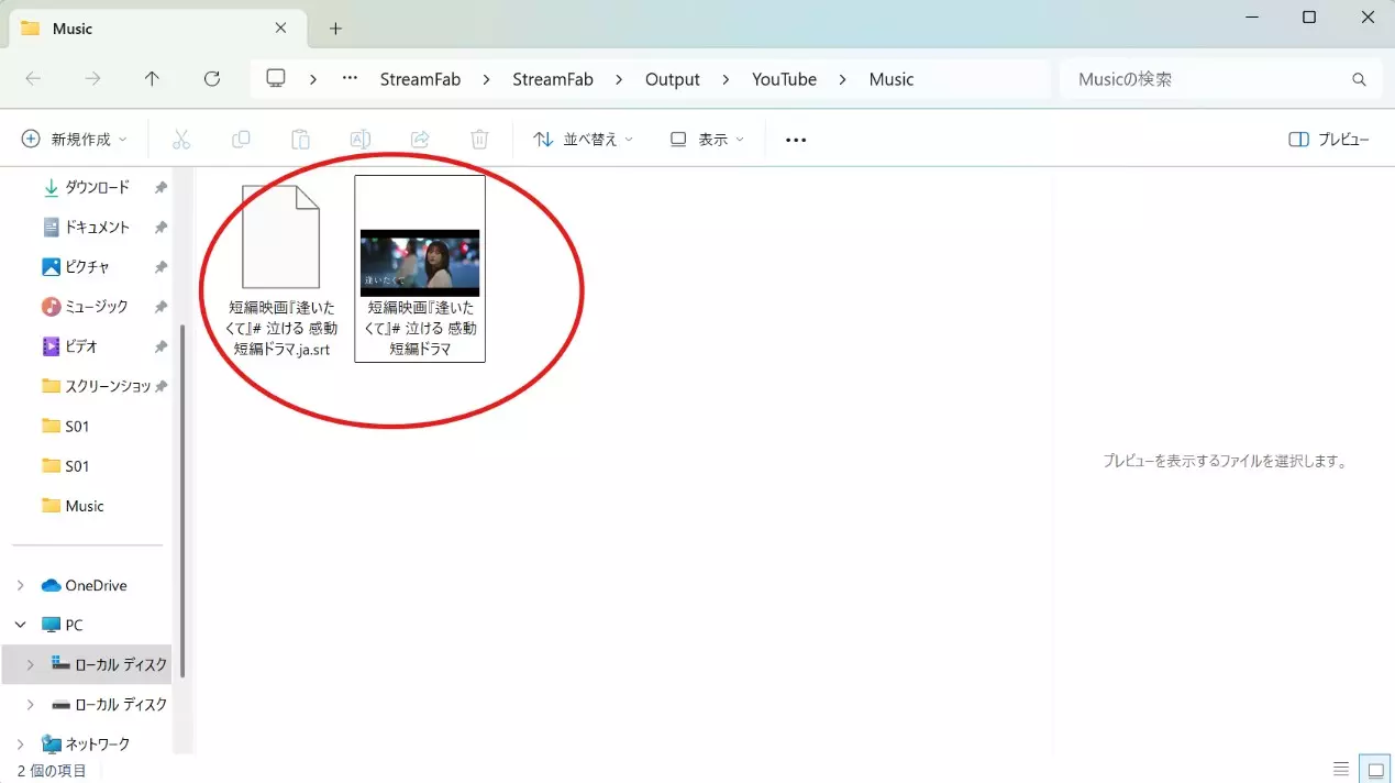 StreamFabで動画とSRT字幕の保存先を確認する画面例