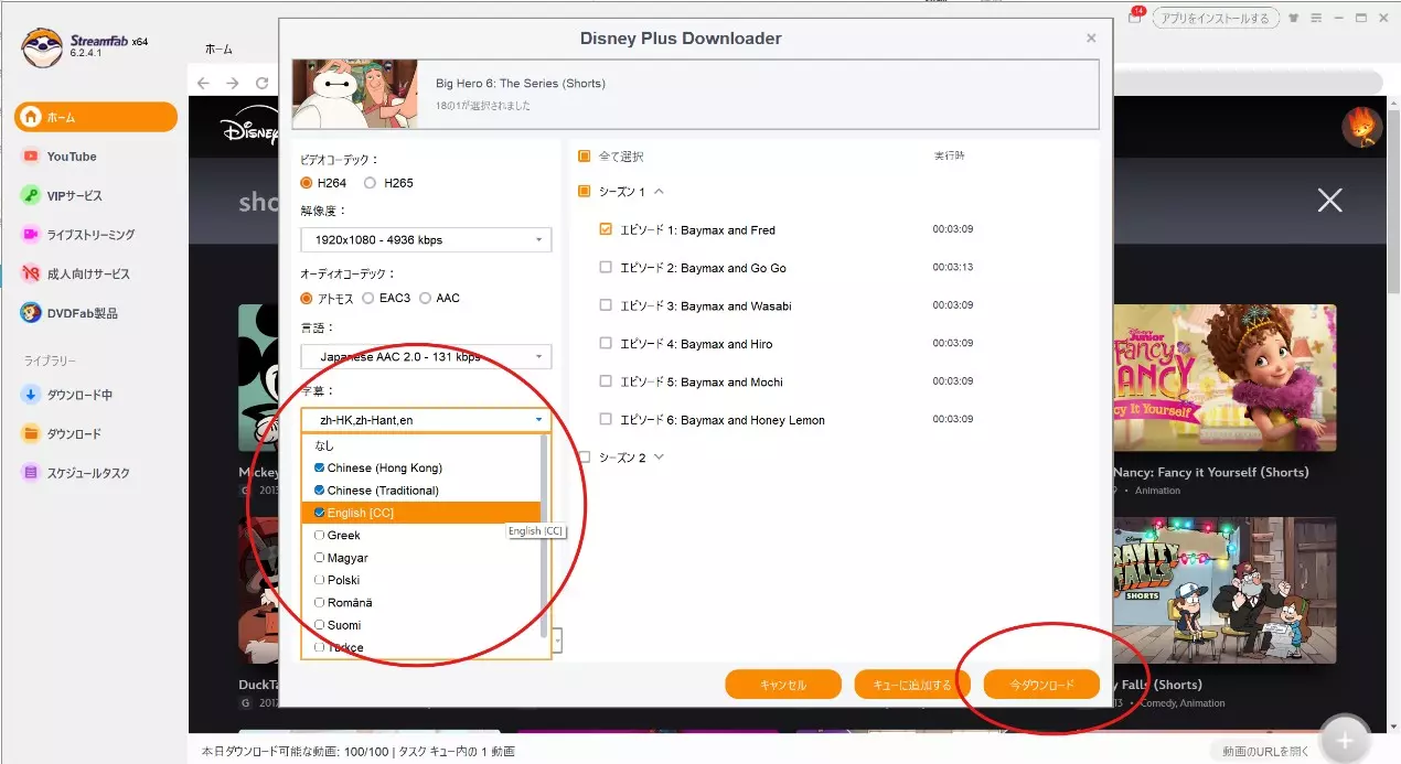 StreamFabでAmazon Prime Videoの字幕を選ぶ画面例
