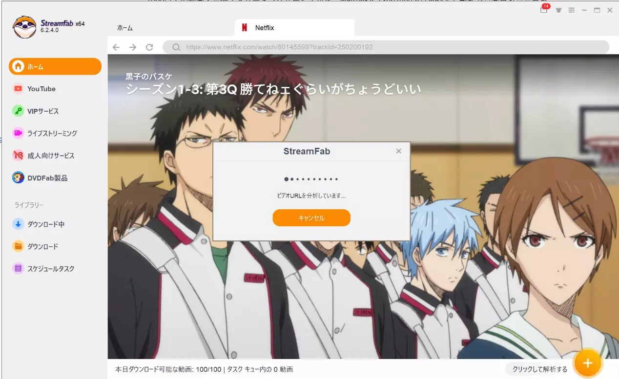 StreamFabのNetflix解析結果と保存条件