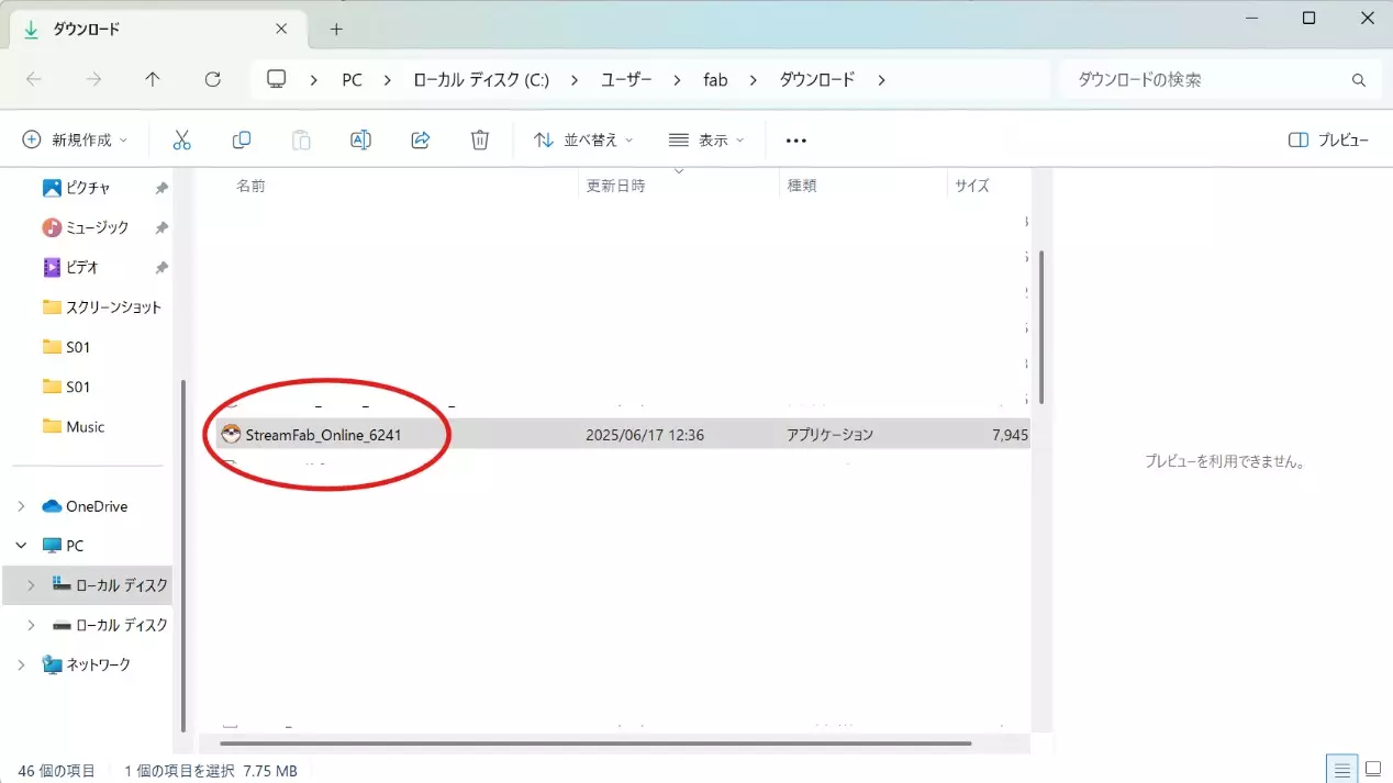 StreamFab Windows 安裝路徑與選項確認畫面
