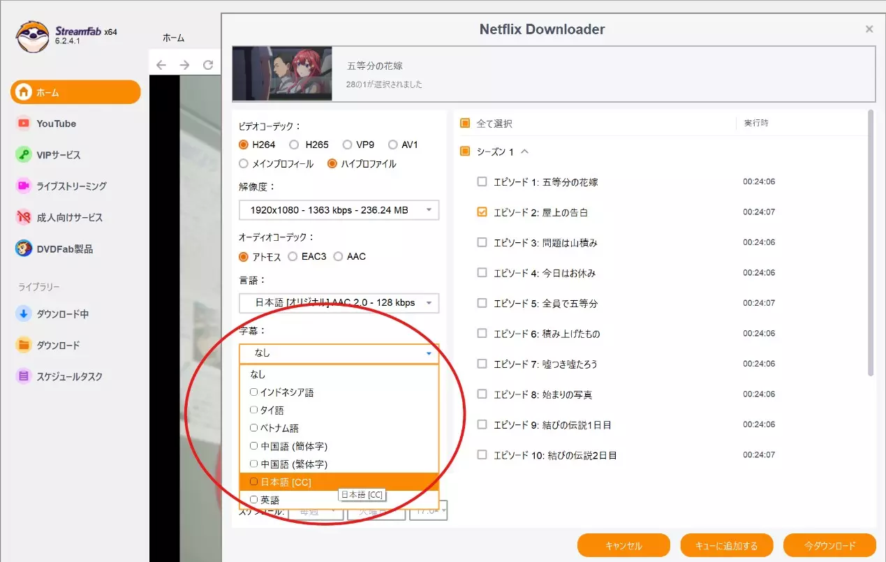 StreamFabで複数言語の字幕を選択する画面例