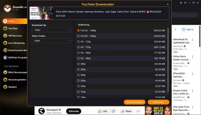 Videoqualität und Parameter vor dem Download wählen