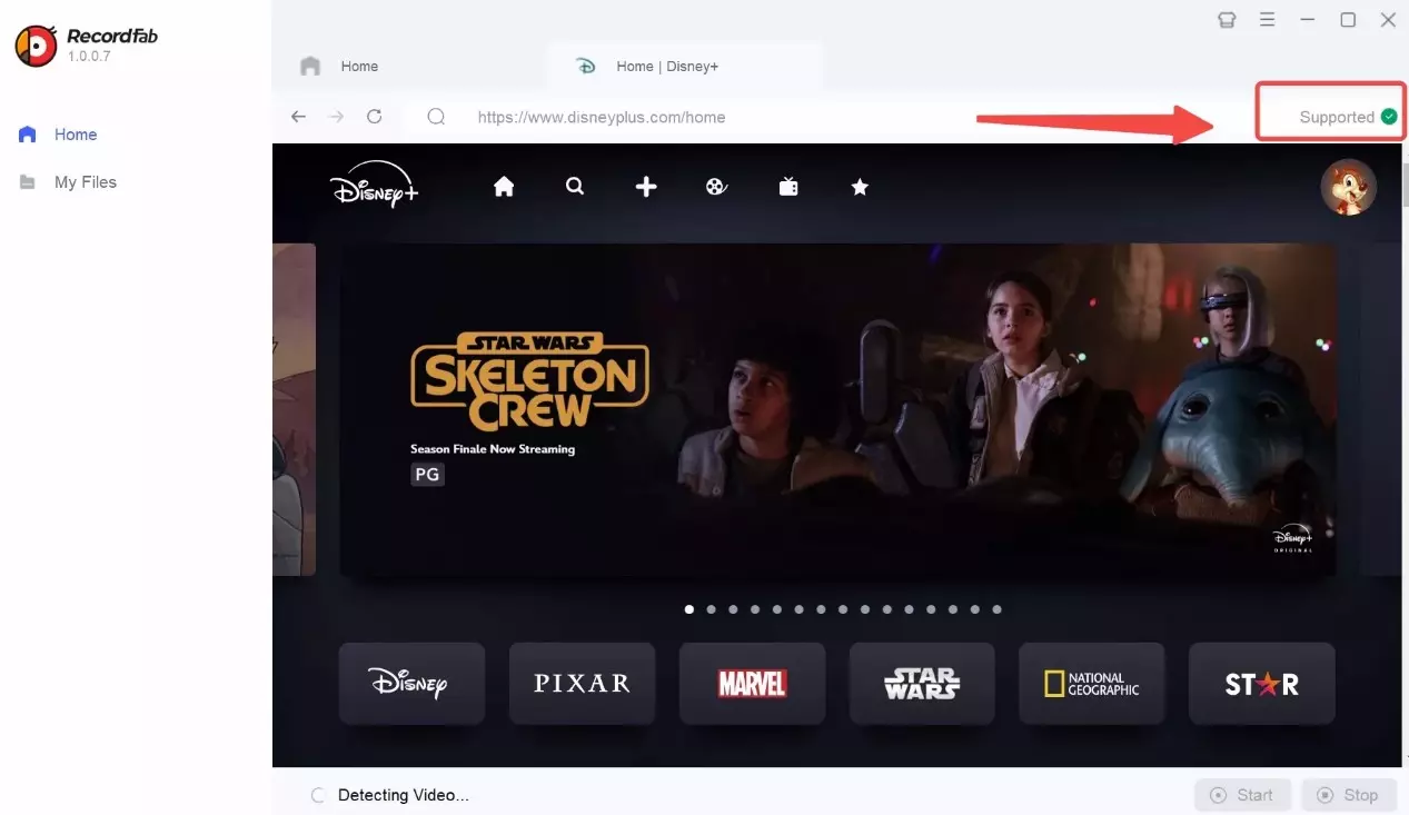 watch disney plus offline