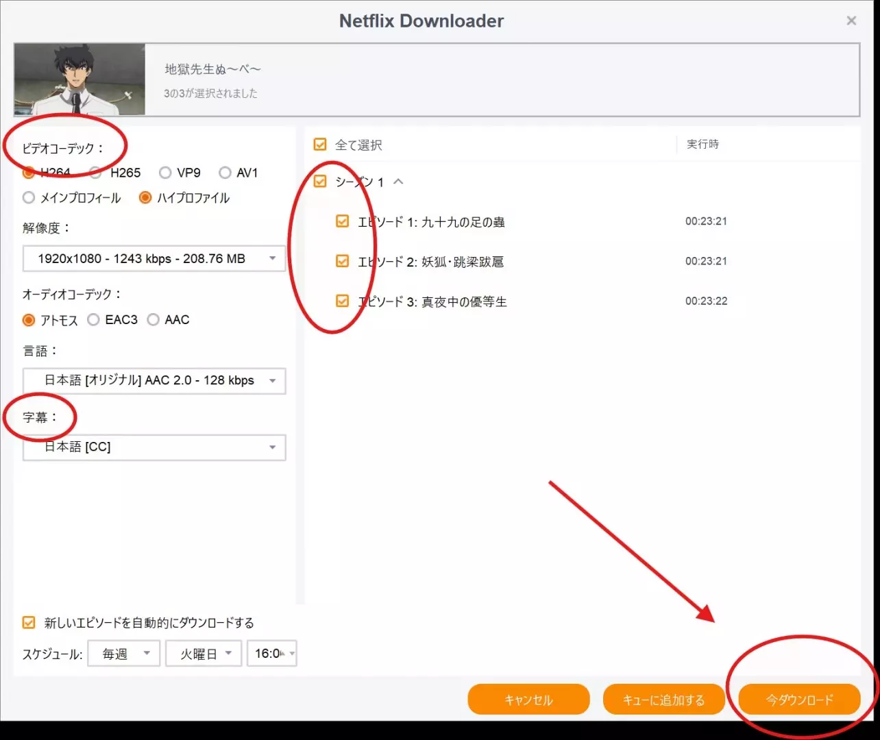 StreamFabで保存する動画を選び画質と音声・字幕を設定する画面