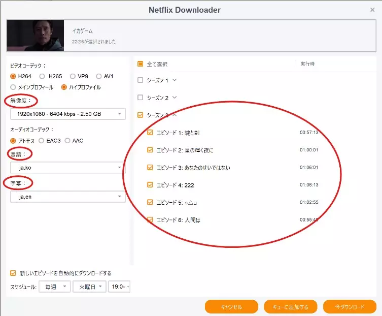 StreamFabで画質と音声と字幕を設定する画面