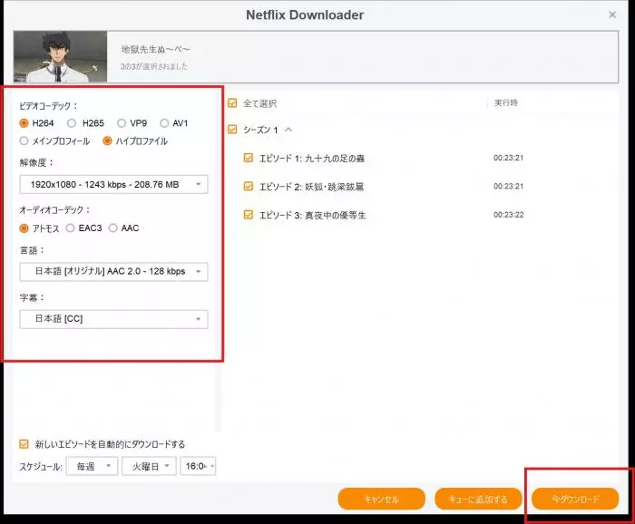 StreamFabでMP4・MKVと字幕を設定する画面