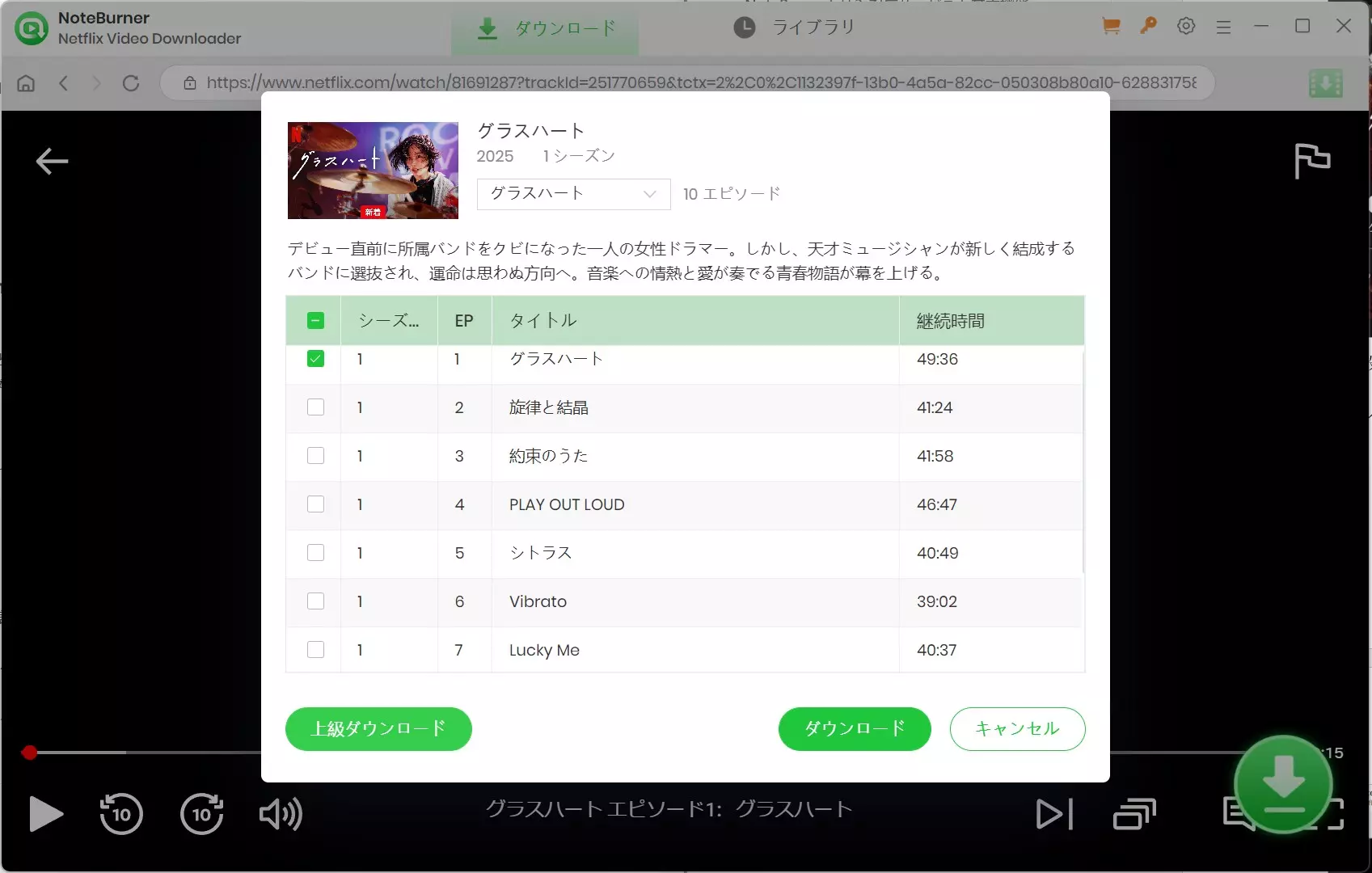 NoteBurner の上級ダウンロード設定画面