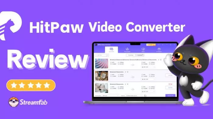 hitpaw video converter review
