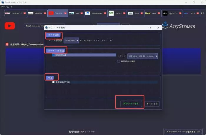 AnyStream 旧設定・保存画面(当時)
