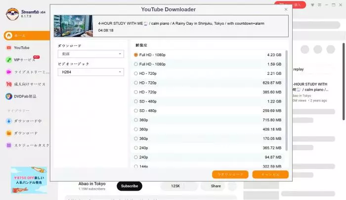 StreamFabで解像度と字幕を選ぶ設定画面