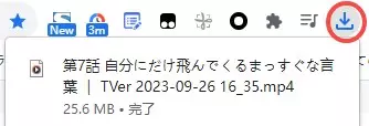 ストリームレコーダーでTVer動画が分割された保存結果
