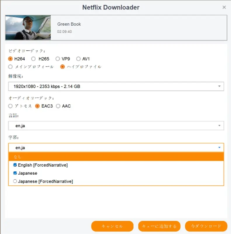 StreamFabで画質・音声・字幕・保存形式を設定する画面