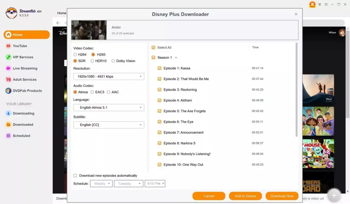 在 StreamFab 選擇畫質、字幕與音軌的 Disney+ Mac 下載設定畫面