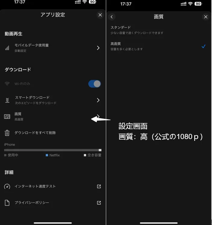 iPhone公式アプリでダウンロードしたNetflix動画の容量・解像度の実測結果