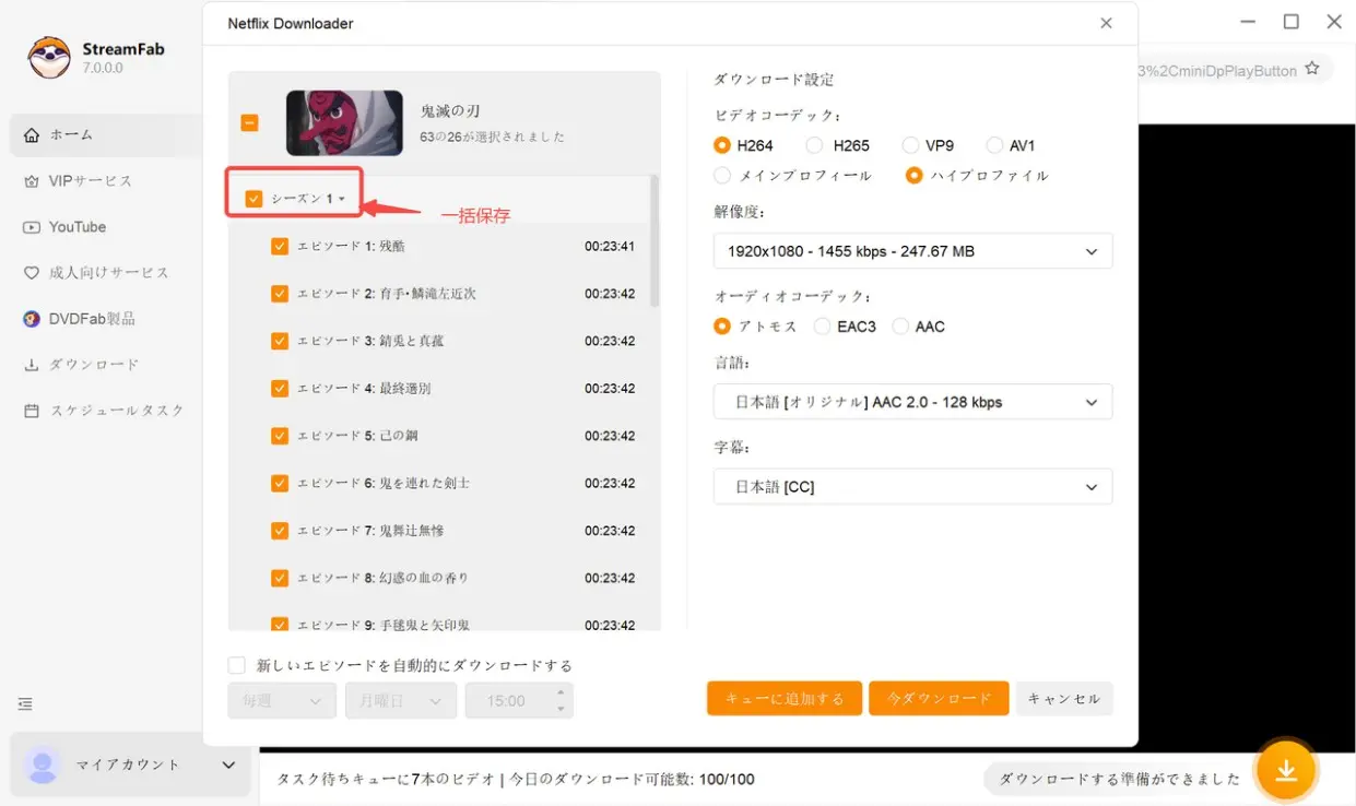 作品ページを開いた直後、およそ 3 秒でエピソード一覧が読み込まれ選択可能になった状態