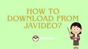 How to Download from JaVideo? Get Erotic Content for Your Night 2025