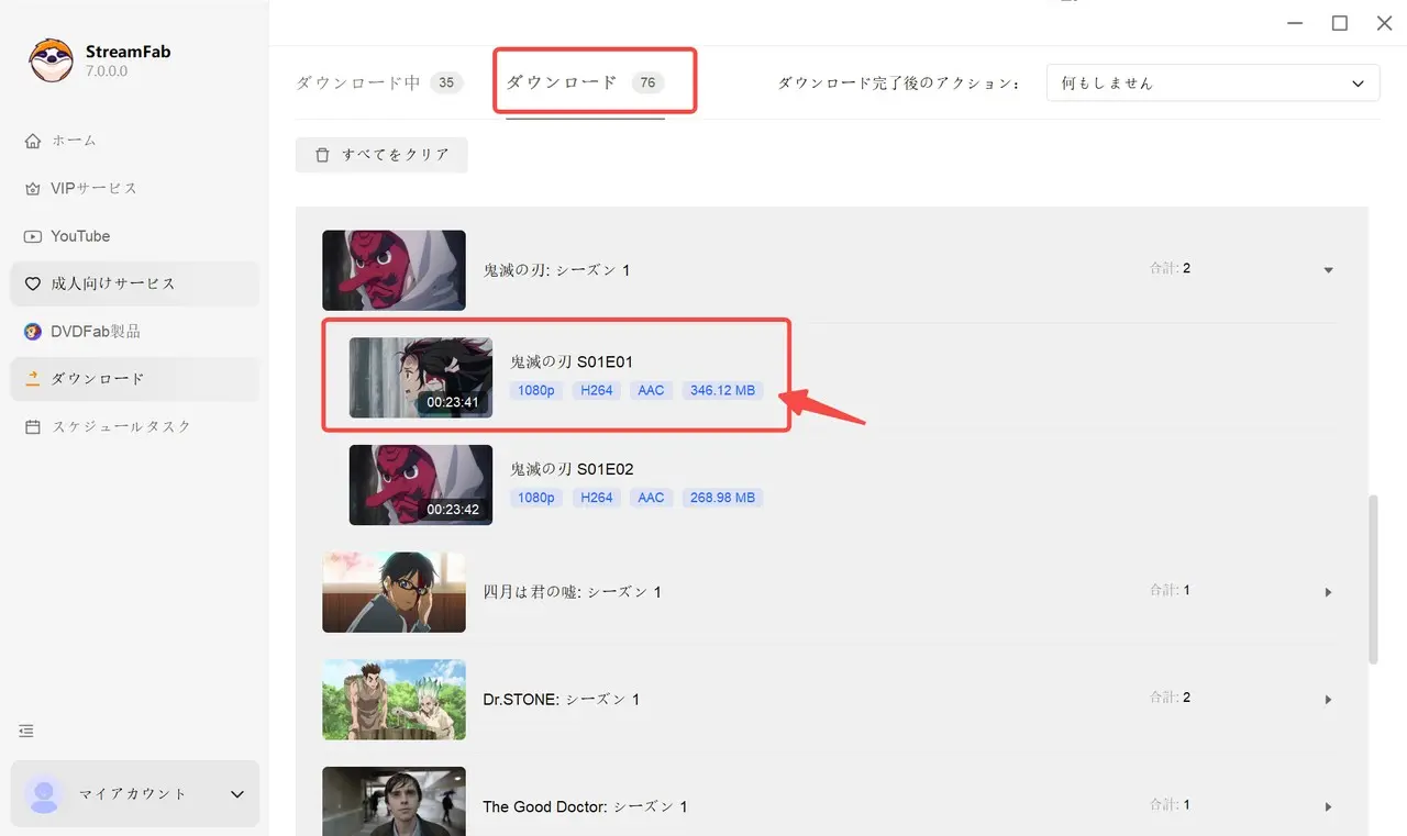 解像度・音声トラック・字幕言語を選ぶダイアログと、MP4 / MKV / AV1 / VP9 のコンテナ・コーデック選択欄