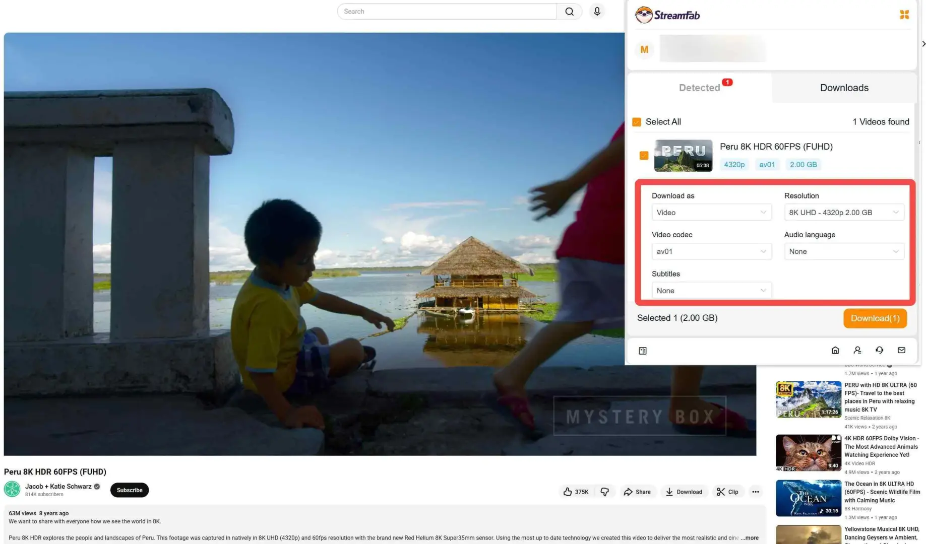 Comment utiliser Streamfab pour le navigateur pour télécharger des vidéos Étape 3 : lire la vidéo que vous souhaitez.
