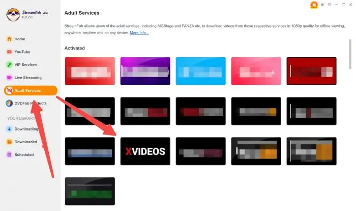 TOP 3 Verifizierte Xvideo Downloader