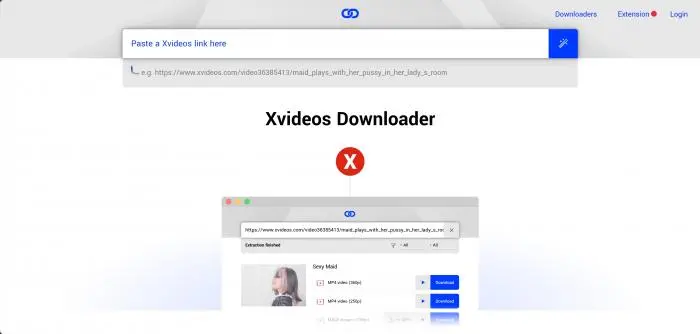 TOP 3 Verifizierte Xvideo Downloader