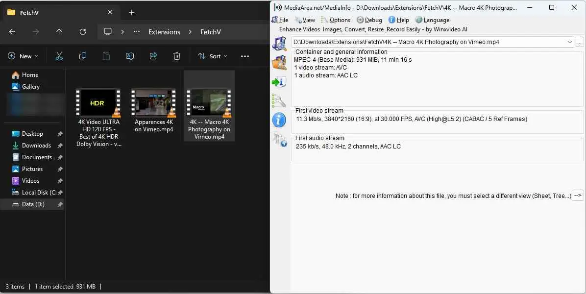 FetchV 4K download file without embedded metadata