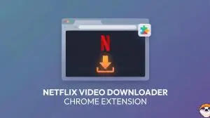 Stop Screen Recording: The Only REAL Netflix Downloader Extension