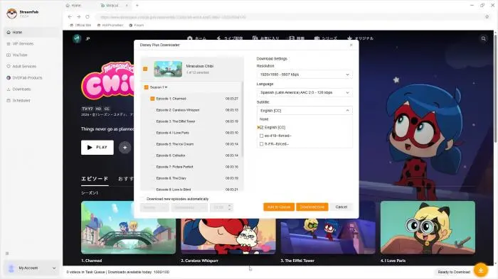how to enable subtitles in streamfab step 4